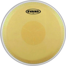 PARCHE EVANS PARA CONGA Mod EC1175 (evans)